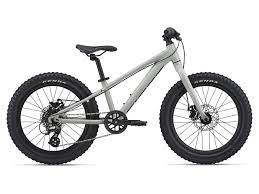 We're here to help you unleash your full potential, no matter the chosen pursuit. Stp 20 Giant 2021 Manner Trail Bike Giant Bicycles De