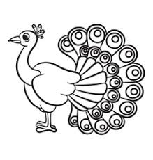 Peacock Feather Outline Vector Images Over 350 These lines will form the peacock's head. peacock feather outline vector images