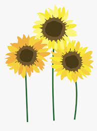 Free Free 150 Clipart Sunflower Png SVG PNG EPS DXF File