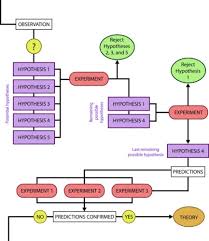 The Scientific Process Principles Of Biology Biology 211