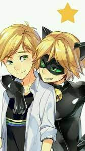 Bence Adrien La Kara Kedi Cok Farkli Kara Kedi Adrien In Icindeki Olmak Istedigi Kisilik Miraculous Ladybug Funny Ladybug And Chat Noir Adrien X Chat Noir