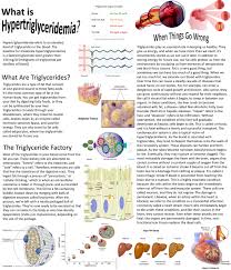 Image result for Hypertriglyceridemia