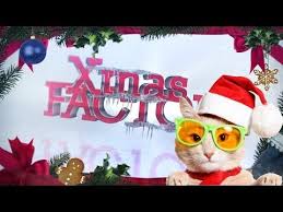 It All Starts When He Tells His Dog It S Almost Christmas And Then Watch As These Pets Show Off Their Talents On Christmas Gif Cute Baby Animals Support Dog