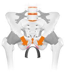 Picture 9 measuring the distance between the two impression centers source: Sit Bone Measurement Fitting Bike Saddle Sqlab Ergonomics Expert