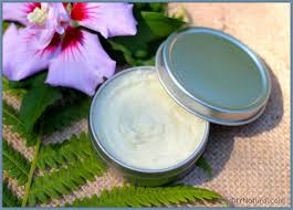 Styling Cream A Nourishing And Natural Homemade Hair Styling Product