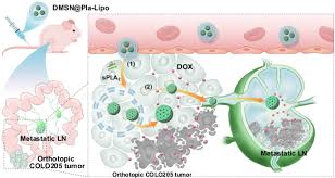 Image result for Primary Tumor Localization