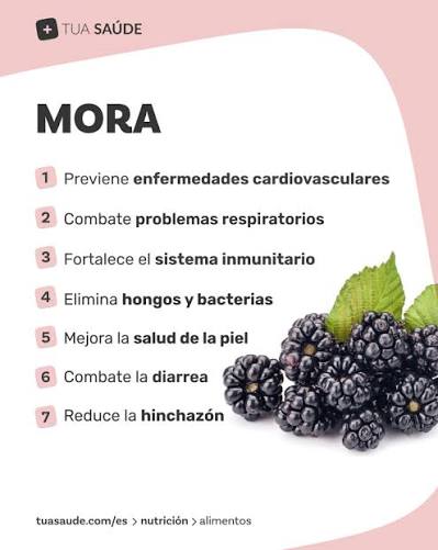 Una fruta pequeña con grandes beneficios! 🍇 La mora es una fruta rica en  fibra, vitaminas y antioxidantes, sustancias que ayudan a proteger las  células del cuerpo. Además, puede contribuir al buen