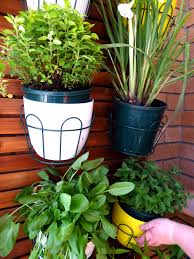 Maybe you would like to learn more about one of these? What Plants Grow Best On A Balcony Garden Myproductivebackyard