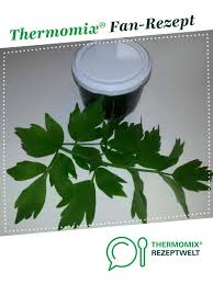 Liebstockel Maggikraut Grundstock Paste Rezept Thermomix Rezepte Rezepte Thermomix Thermomix