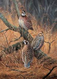 Pin On Birds In Art