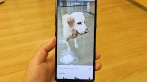 Google検索で動物たちを3dで 楽しめる動物 恐竜 昆虫まとめ 実はほかにもある Ar シリーズ ケータイ Watch