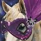 Equine Voices “Mystic’s Masquerade” event image