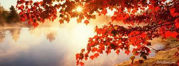 Facebook added the timeline feature to all profiles. Red Autumn Leaves Facebook Cover Coverbash Com Fall Facebook Cover Photos Fall Facebook Cover Fall Cover Photos