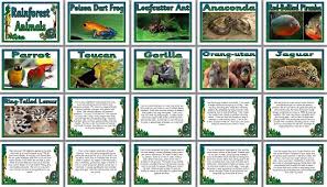 Geography Posters Match The Rainforest Animals To Their Descriptions Set Of 10 Who Am I Rainforest Anim Rainforest Animals Animal Descriptions Rainforest