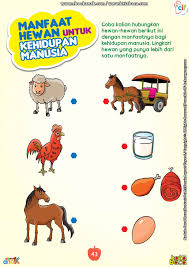 Manfaat Hewan Untuk Kebutuhan Manusia Hewan Pendidikan Kegiatan Sekolah