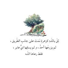 Pin On Bl 3arabi