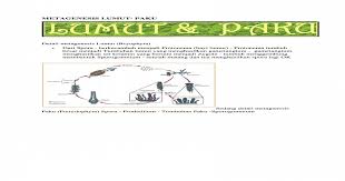 59+ gambar skema metagenesis tumbuhan lumut. Metagenesis Lumut