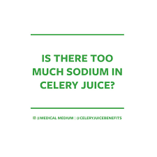 Is There Too Much Sodium In Celery Juice Celery Juice