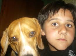 Joe Manzella Sportscards 的个人主页