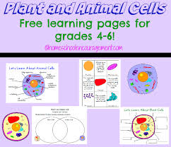 Plant And Animal Cell Printables Grades 4 6 Science Cells Learning Science Plant And Animal Cells