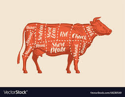 meat cut charts cow butcher shop beef