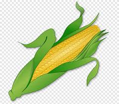 Tak hanya lezat disantap, apabila mengkonsumsi jagung rebus tentunya anda akan memperoleh manfaat kesehatan karena jagung rebus memiliki kandungan gizi yang tinggi. Jagung Rebus Jagung Manis Jagung Sayuran S Makanan Buah Png Pngegg