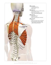 Pin On Health