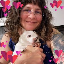 Why are my zucchini plants yellowing and shriveling up?