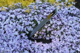 It is very compact and comes with a hidden cabling making your working surface completely free. Joly Joy 5w Led Desk Lamp Review Gizmochina