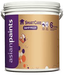 Smartcare Damp Proof Waterproofing Damp Protection Solution Asian Paints