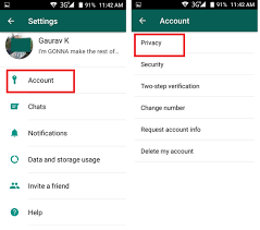 Tap archive chat to hide it from view: How Can I Hide My Whatsapp Account From My Unwanted Contacts Covve