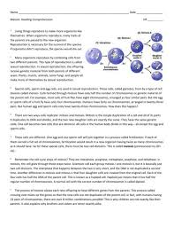 8 Mitosis And Meiosis Reading Worksheet Reading Worksheets Reading Comprehension Worksheets Reading Comprehension