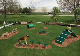 This Is What I Have In Mind As A Project For My Hubby My Dogs Need A Playground Dog Playground Dog Park Equipment Dog Area