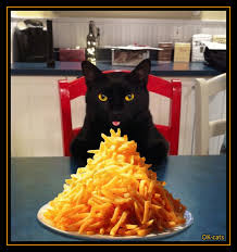 And raw potatoes are absolutely toxic to cats. Art Cat Gif Meanwhile In France A Hungry Black Cat Is Going To Eat A Mountain Of French Fries Cats Elf Cat Black Cat