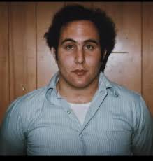 Now that's a nice, big, juicy van!