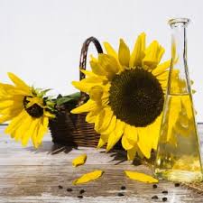 Learn how to grow sunflowers from seed, in pots and indoors with our handy guide. How To Grow Sunflowers