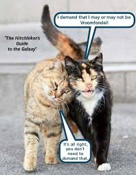 …yikes, somebody please get that man a klondike bar. The Hitchhiker S Guide To The Galaxy The Philosofurs Lolcats Lol Cat Memes Funny Cats Funny Cat Pictures With Words On Them Funny Pictures Lol Cat Memes Lol Cats