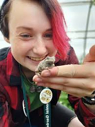 found this little guy at work, fairly calm. can anyone identify what it is?