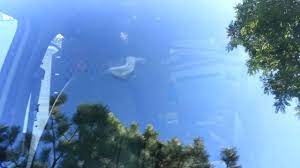 This may help with further removal. Tree Sap Removal From Car Windshield Youtube