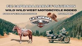 Jason Wicks live at The Southern Tier Harley Rodeo