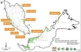 2biological research division, tropical peat research institute, malaysian palm oil board, kajang, malaysia. Distribution Of Peat Soil Areas In Malaysia Download Scientific Diagram