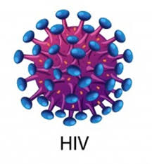 Akan tetapi beberapa penyakit yang diakibatkan oleh infeksi virus juga dapat sembuh dengan sendirinya selama sistem kekebalan tubuh kuat. 35 Virus Penyebab Penyakit Pada Manusia Yang Mematikan Dan Mengerikan Belajar Ipa