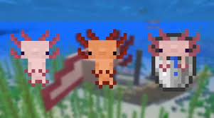 Wolves are neutral mobs that can be tamed. Axolotls Minecraft Texture Pack
