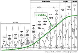 Unprecedented Rainfall Flooding And Impact On Wheat And