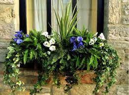 This will help you determine which flowers to plant. Fake Flowers In Window Boxes Fake Flowers Window Box Flowers Flower Boxes