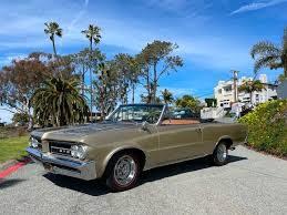 Image result for Saddle Bronze 1964 Tempest