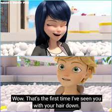 Marinette S Hair Down Miraculous Catnoir Frozenelsa Hair Marinette Miraculous Ladybug Anime Miraculous Ladybug Funny Miraculous Ladybug Comic