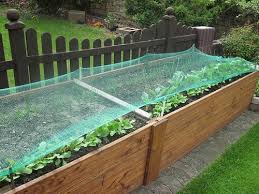 Weitere ideen zu garten hochbeet, hochbeet, garten. Ein Hochbeet Anlegen In Wenigen Schritten