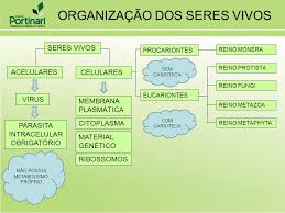 Muitas foram as sugestões de classificação dos seres vivos. Classificacao Dos Seres Vivos E Regras De Nomenclatura Ppt Carregar