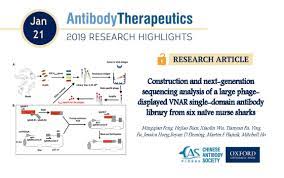 When many antibodies are bound to antigens in the bloodstream, they form a large lattice network called an immune complex. Construction And Next Generation Sequencing Analysis Of A Large Phage Displayed Vnar Single Domain Antibody Library